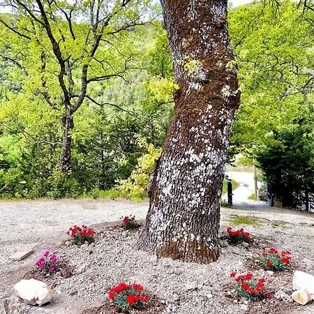 Casa Il Colle Сasa de vacaciones SantʼUrbano